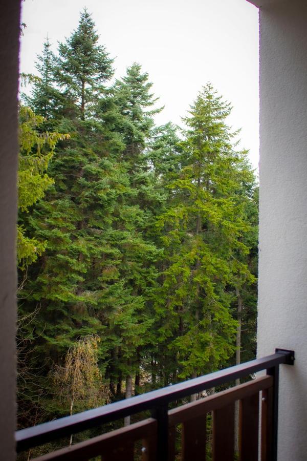Borovets Gardens Studio Екстериор снимка
